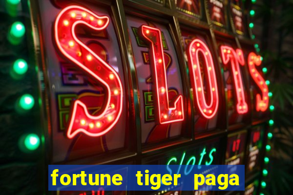 fortune tiger paga de madrugada